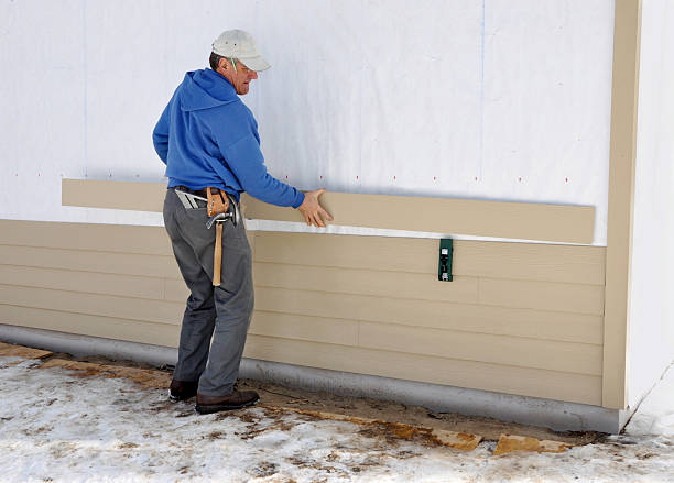 Best Insulated Siding Installation  in Wixom, MI